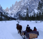 Your Post-Quantum Cryptography Journey: Over the River and Through the Woods