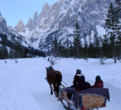 Your Post-Quantum Cryptography Journey: Over the River and Through the Woods
